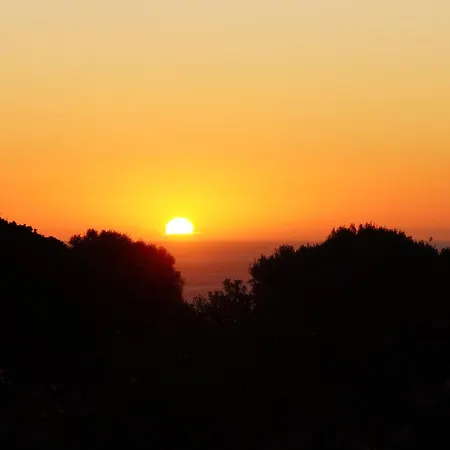 ファームステイ Paulesa