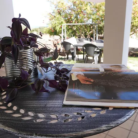 Farm stay Paulesa Dorgali