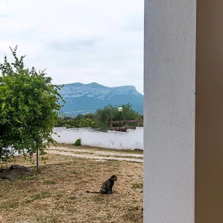 Alloggio per agriturismo Paulesa *
